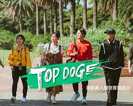 欲漫涩《TOP DOG》免费在线观看