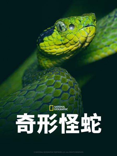 歪歪漫画《奇形怪蛇》免费在线观看